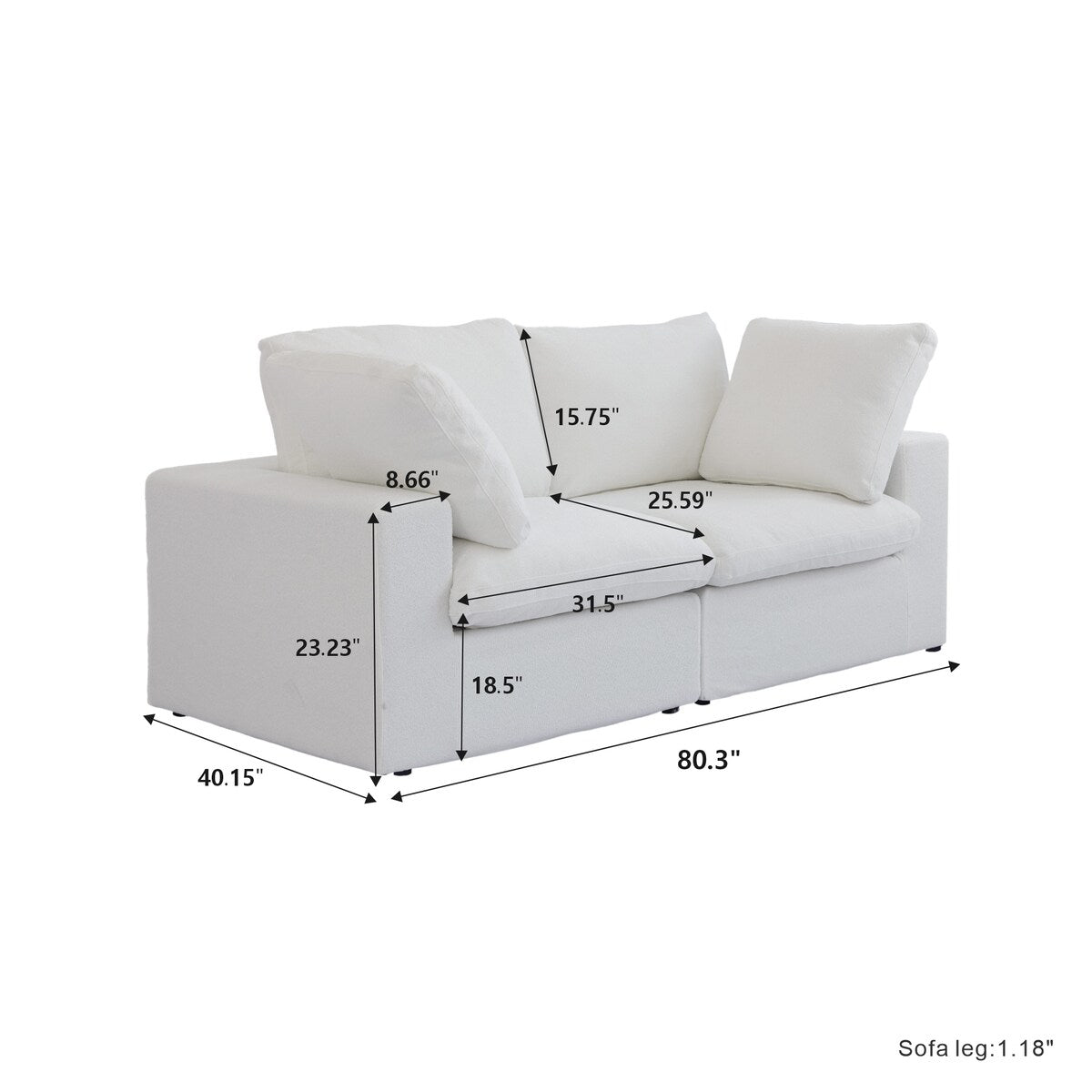 2 Seater Sofa Couch with Pillows for Living Room